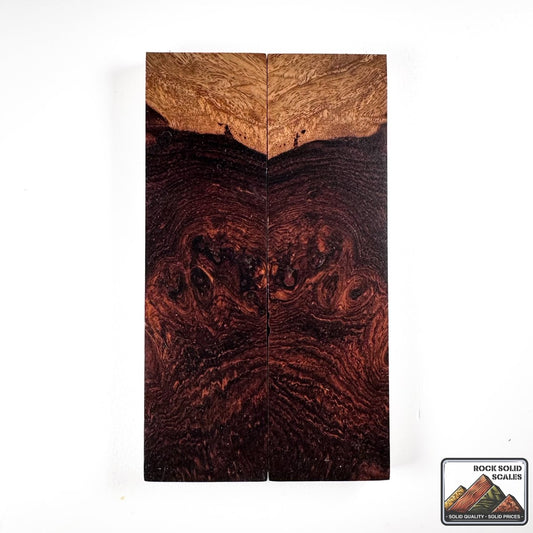 Honduran Rosewood Burl - 940 - RockSolid Scales - 