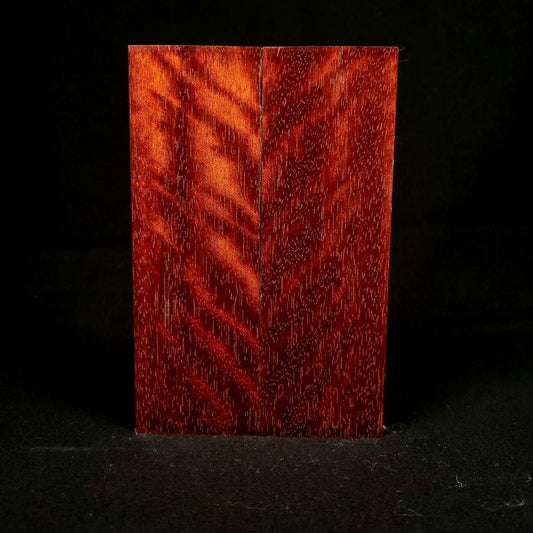 #1031 - Beeswing Bloodwood - RockSolid Scales -