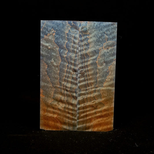 #1034 - Sky Blue Fade Curly Maple - RockSolid Scales -