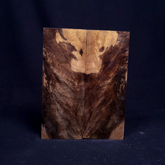 #1041 - Spalted Myrtle Burl - RockSolid Scales -