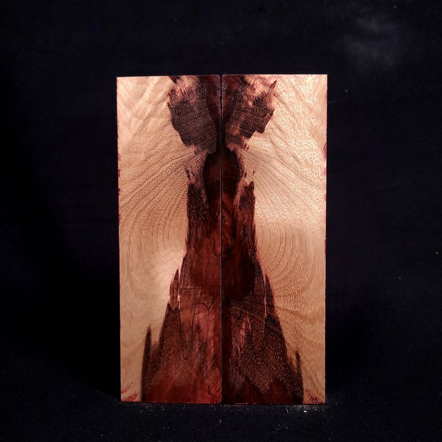 #1095 - ЯedЯum Spalted Myrtle - RockSolid Scales -