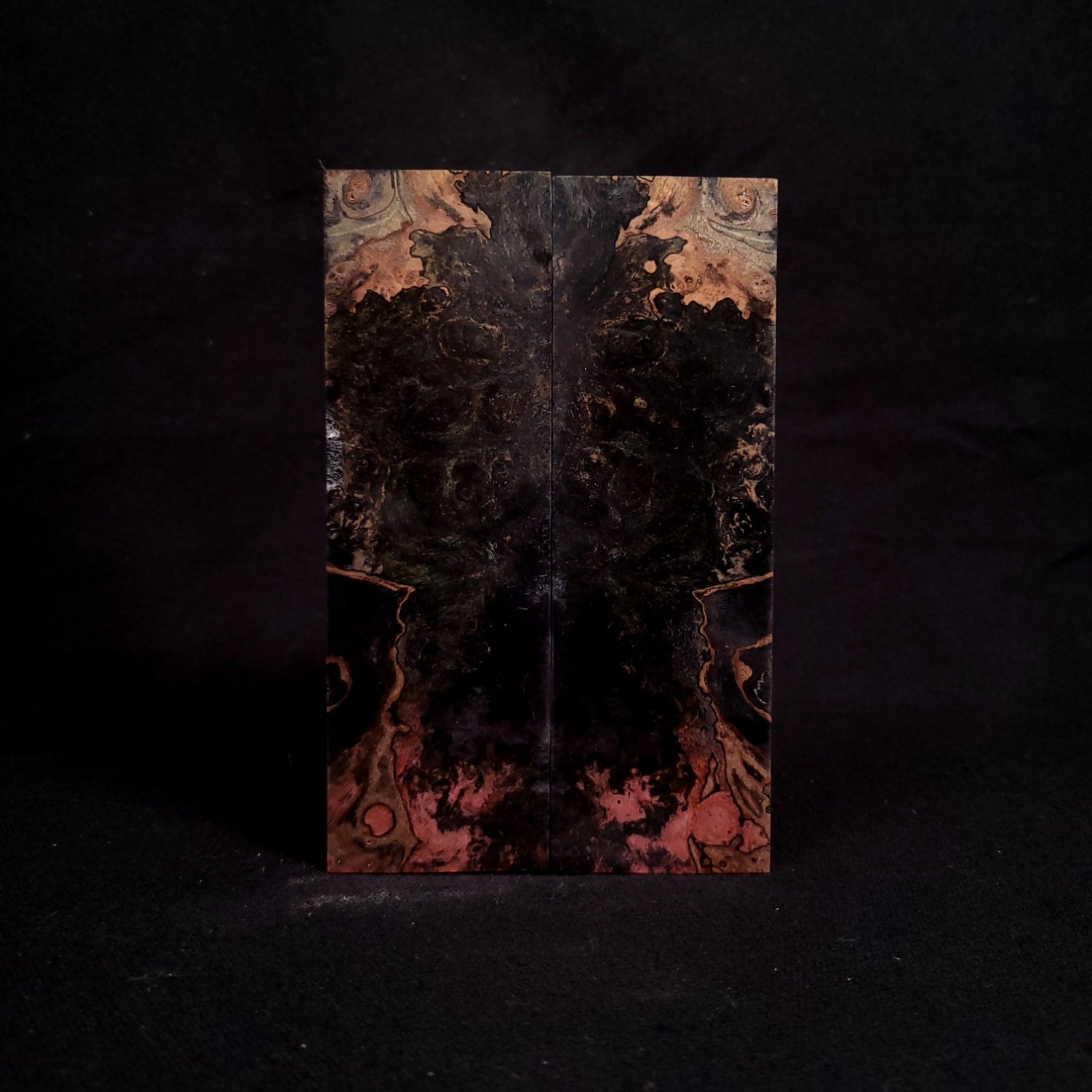 #2007 - INSANE SINISTER MULTI-DYE SPALTED MAPLE BURL - RockSolid Scales -