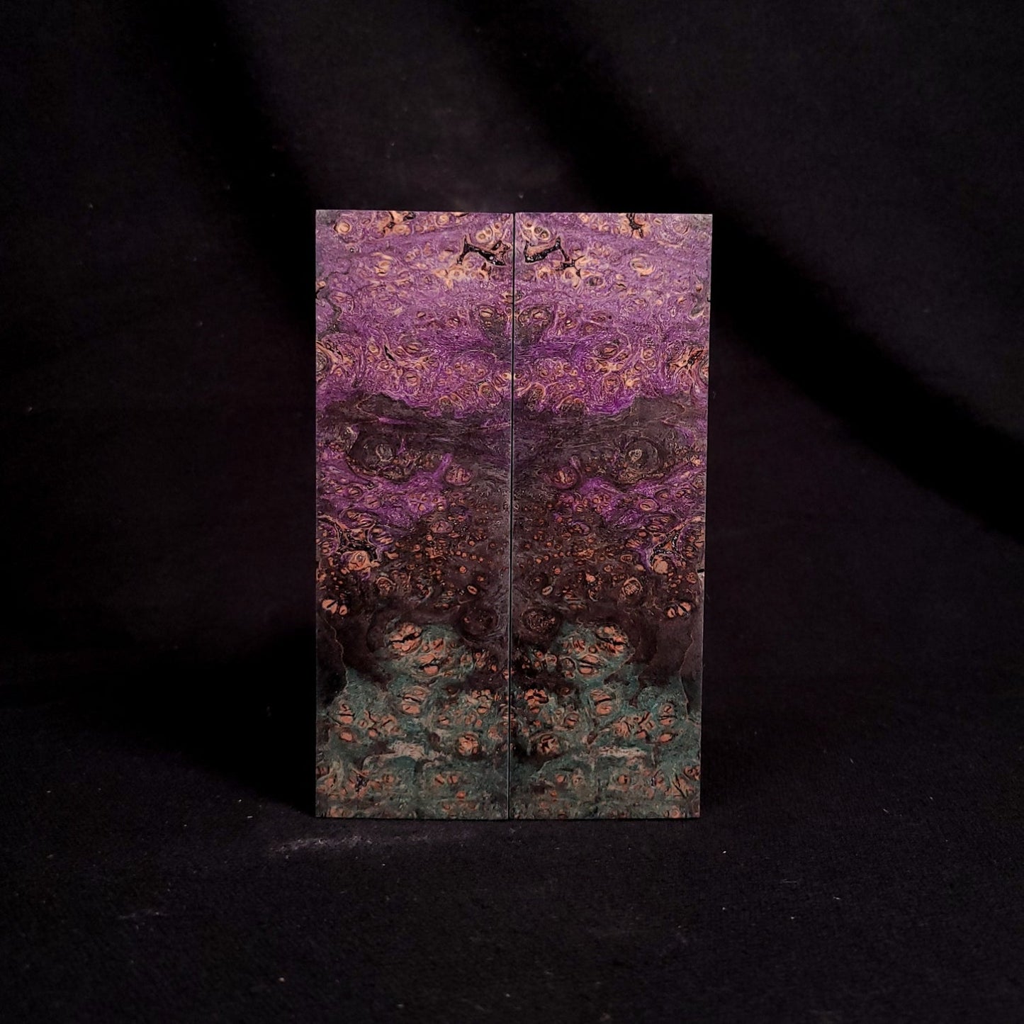 #2016 - Triple Dyed Maple Burl - Purple, Peacock Green, Sinister - RockSolid Scales -