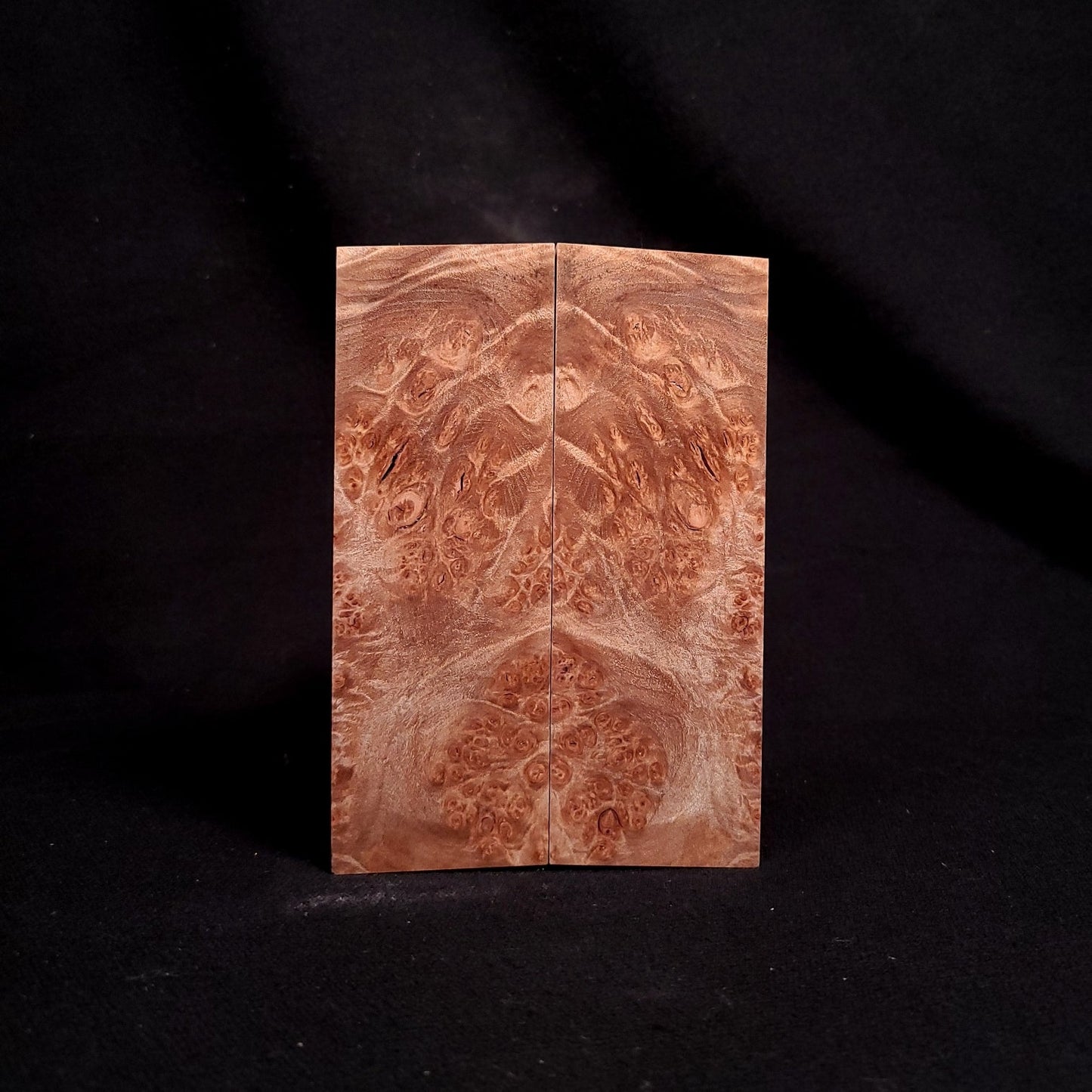 #2019 - Maple Burl - K&G Stabilized - RockSolid Scales -