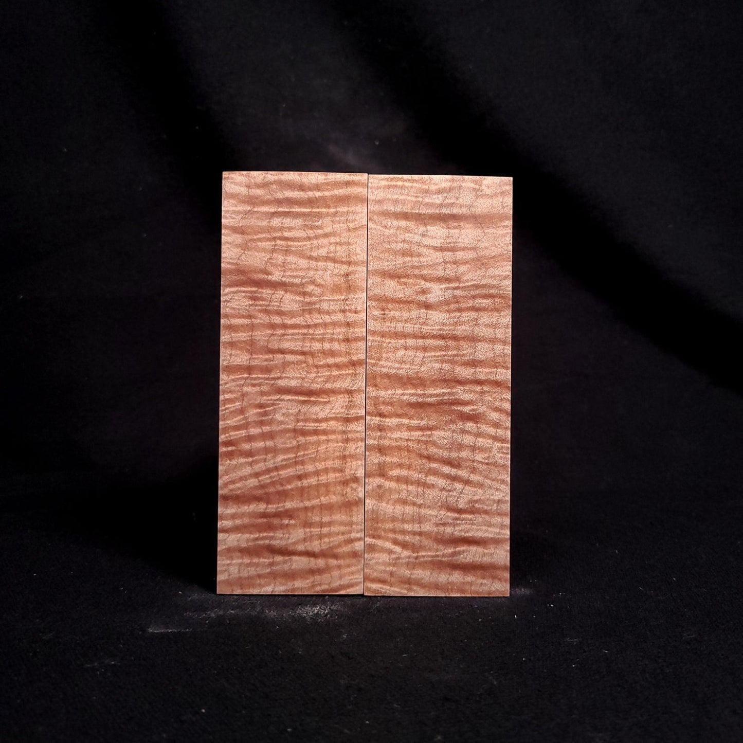#2035 - INSANE 5A Curly Maple - RockSolid Scales -