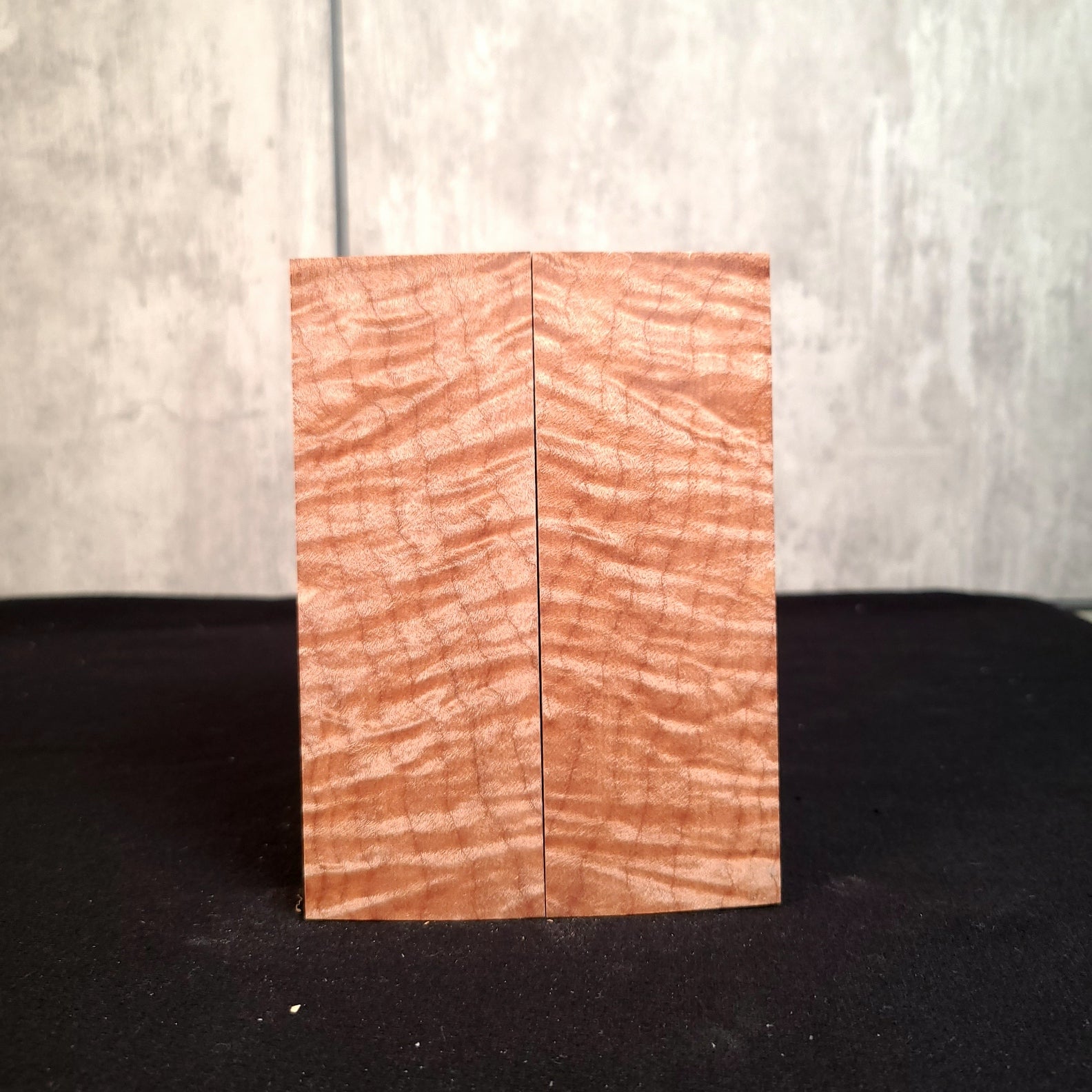 #2075 - INSANE 5A Curly Maple - RockSolid Scales -