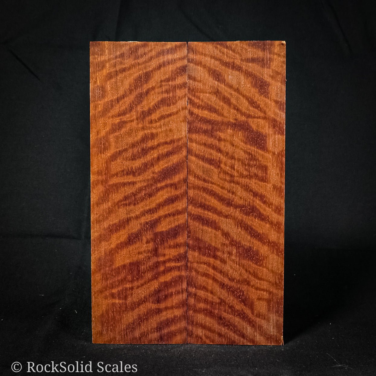 #2173 - Curly Paduak - RockSolid Scales -