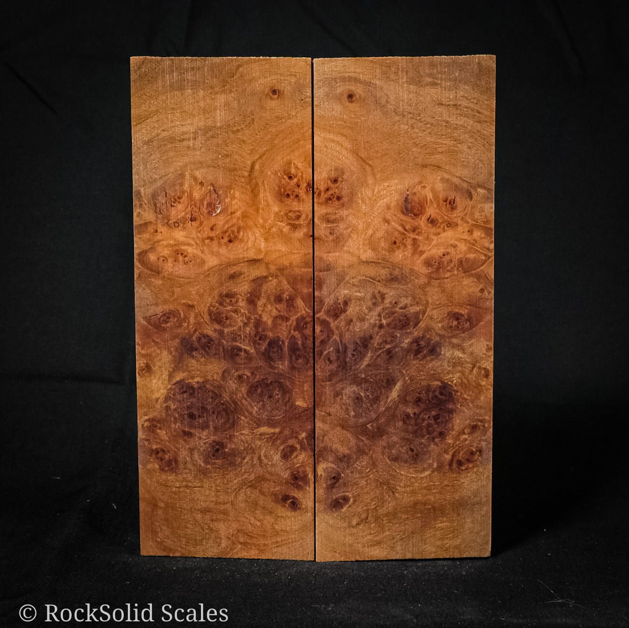#2184 - Spalted Maple Burl - RockSolid Scales -