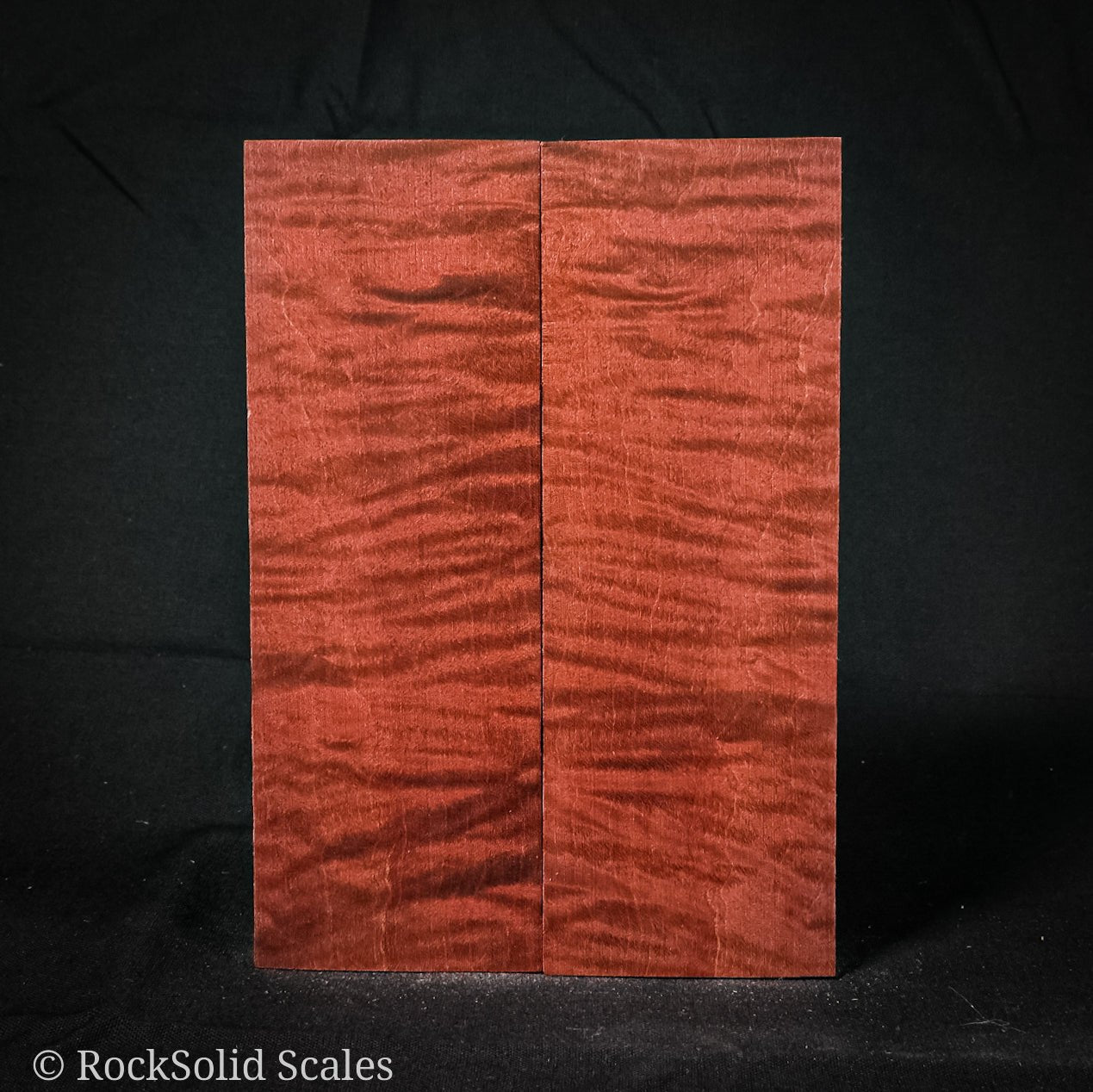 #2231 - RedRum 5A Curly Maple - RockSolid Scales -