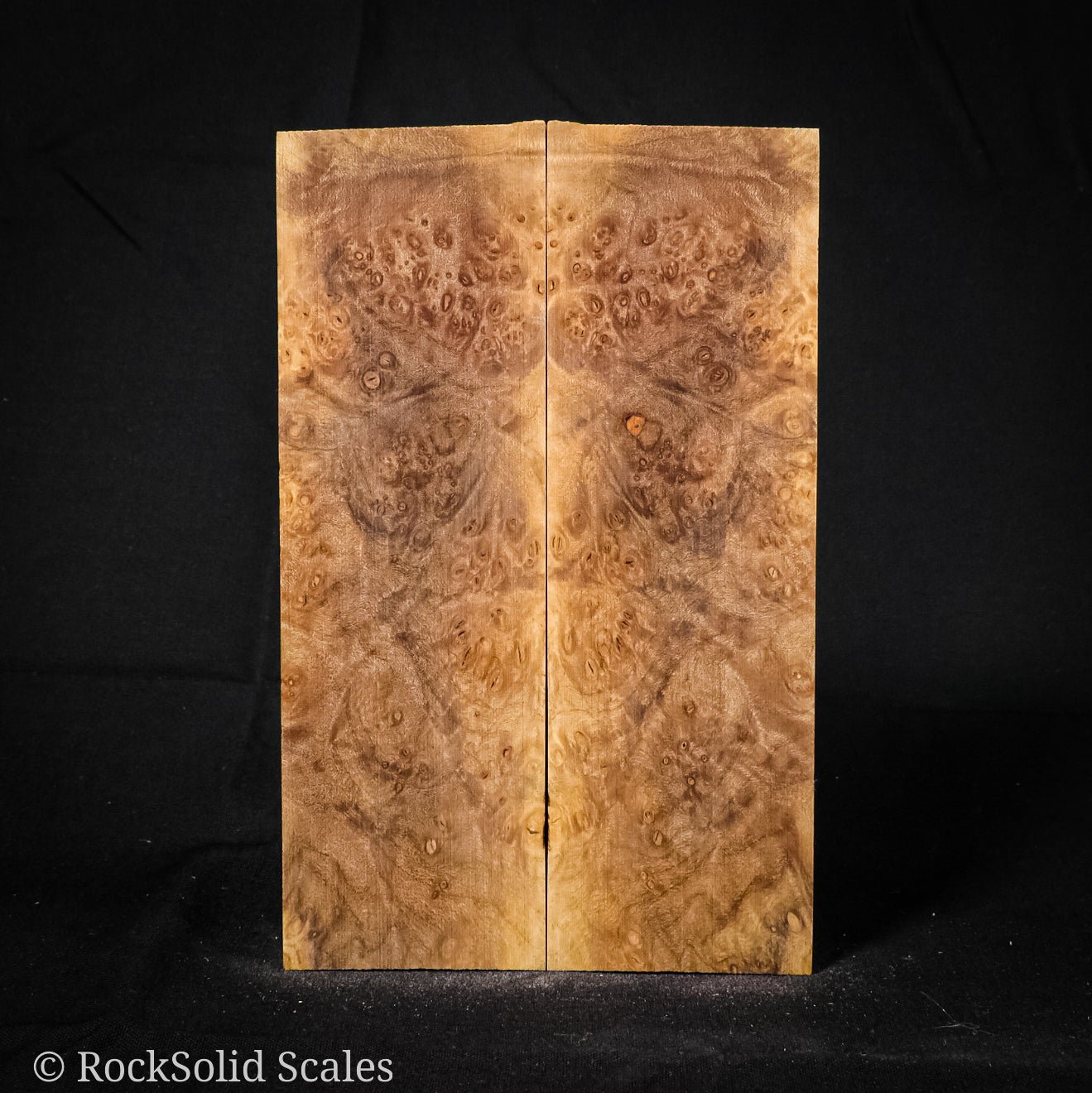 #2244 - Spalted Maple Burl - RockSolid Scales -