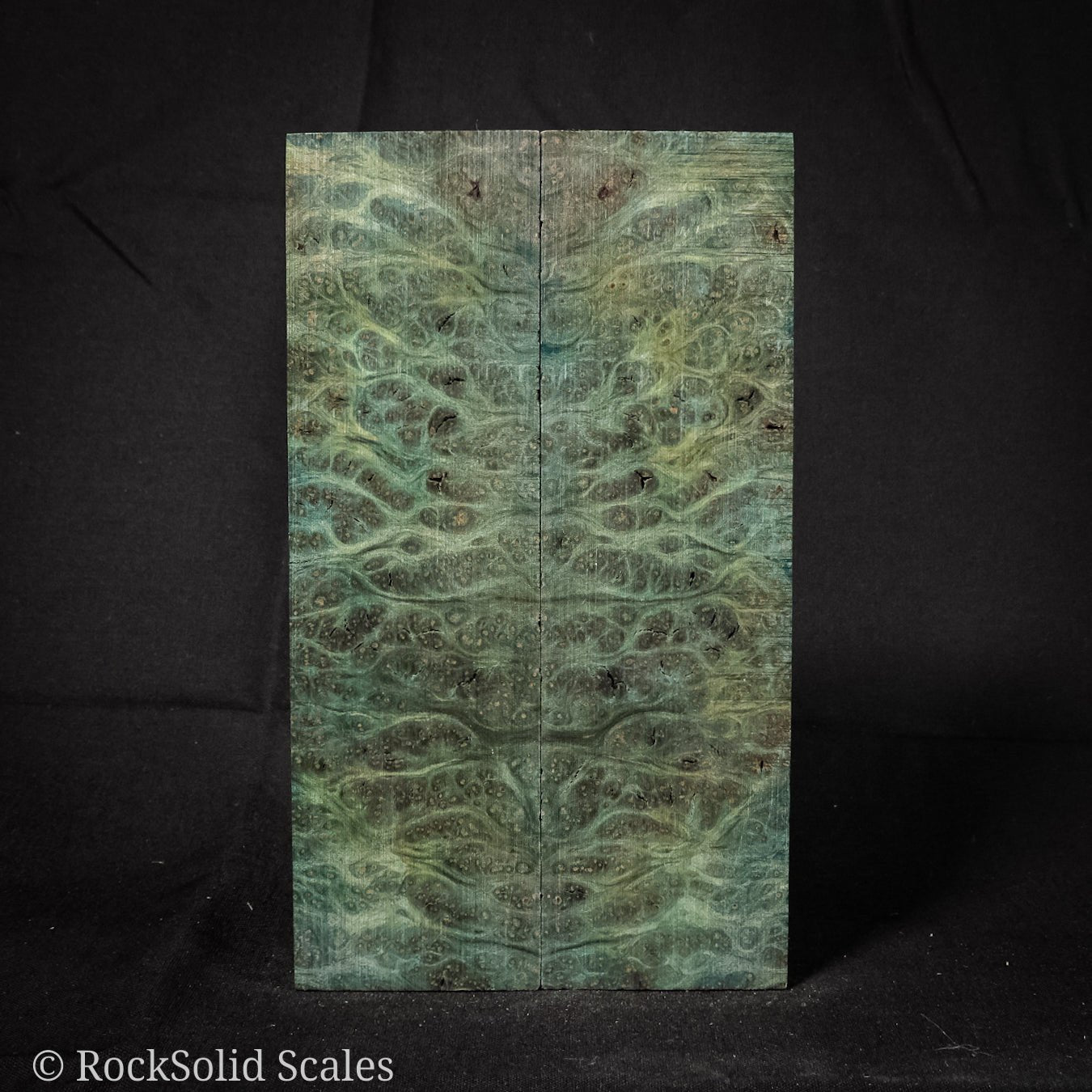 #2261 - Teal Redwood Lace Burl - RockSolid Scales -
