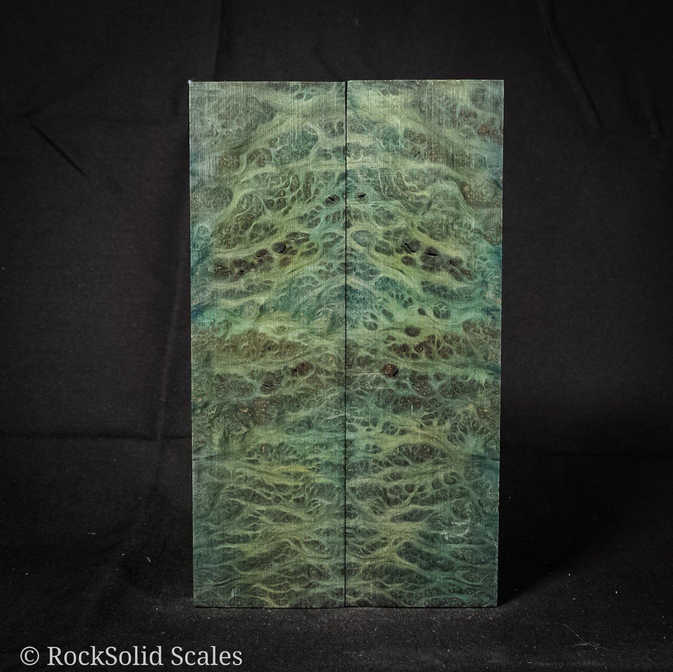 #2264 - Teal Redwood Lace Burl - RockSolid Scales -
