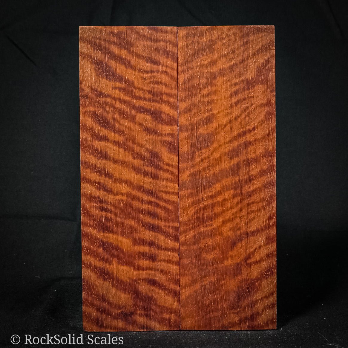 #2275 - Curly Paduak - RockSolid Scales -