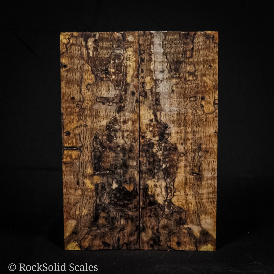 #2281 - Curly, Spalted, Buggy Mango - RockSolid Scales -