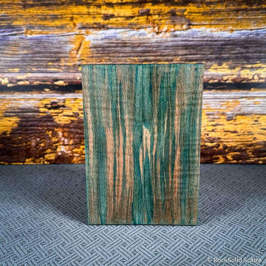 #2447 - Teal and Grey Curly Maple - RockSolid Scales