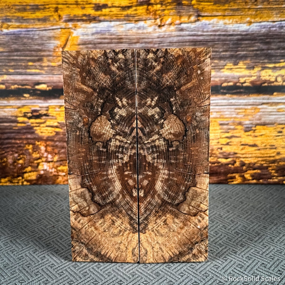 #2462 - X-Cut Spalted Alder - RockSolid Scales -