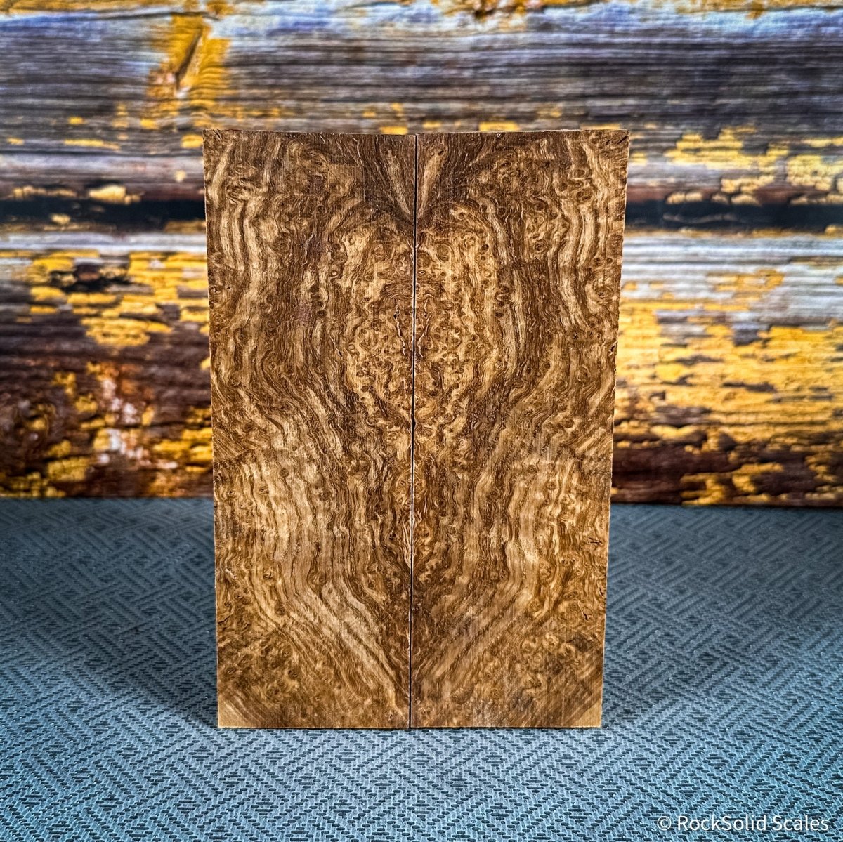 #2471 - Black Ash Burl - RockSolid Scales -