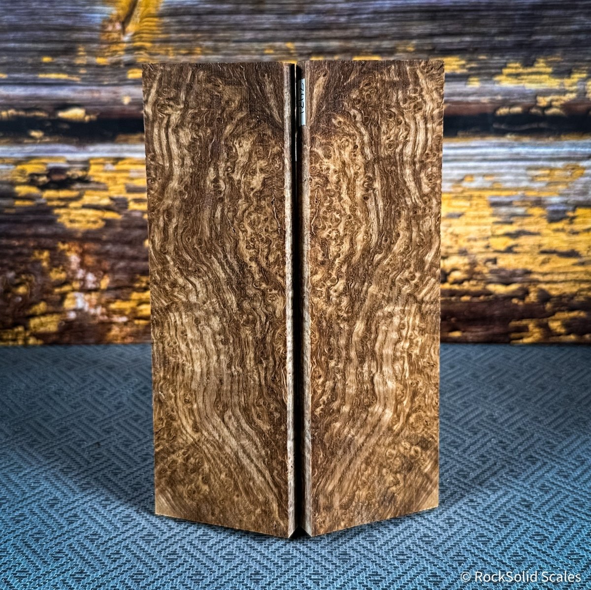 #2471 - Black Ash Burl - RockSolid Scales -