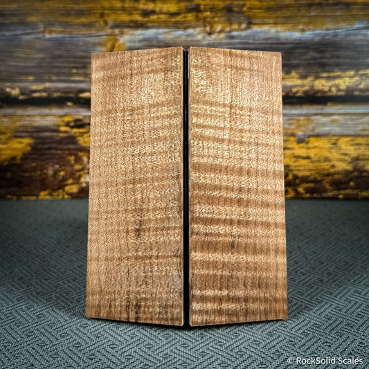 #2504 - Curly Maple - RockSolid Scales -
