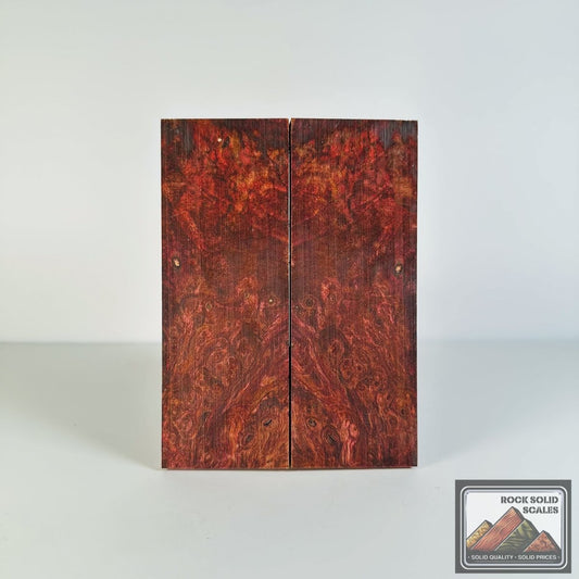 #2628 - Maroon and Gold Maple Burl - RockSolid Scales -
