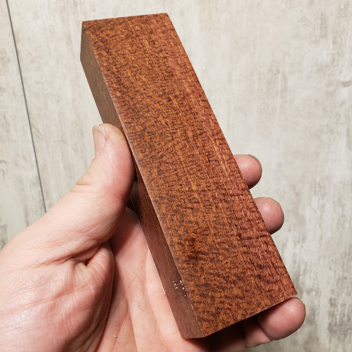 #378 Australian Beefwood Lace - RockSolid Scales -