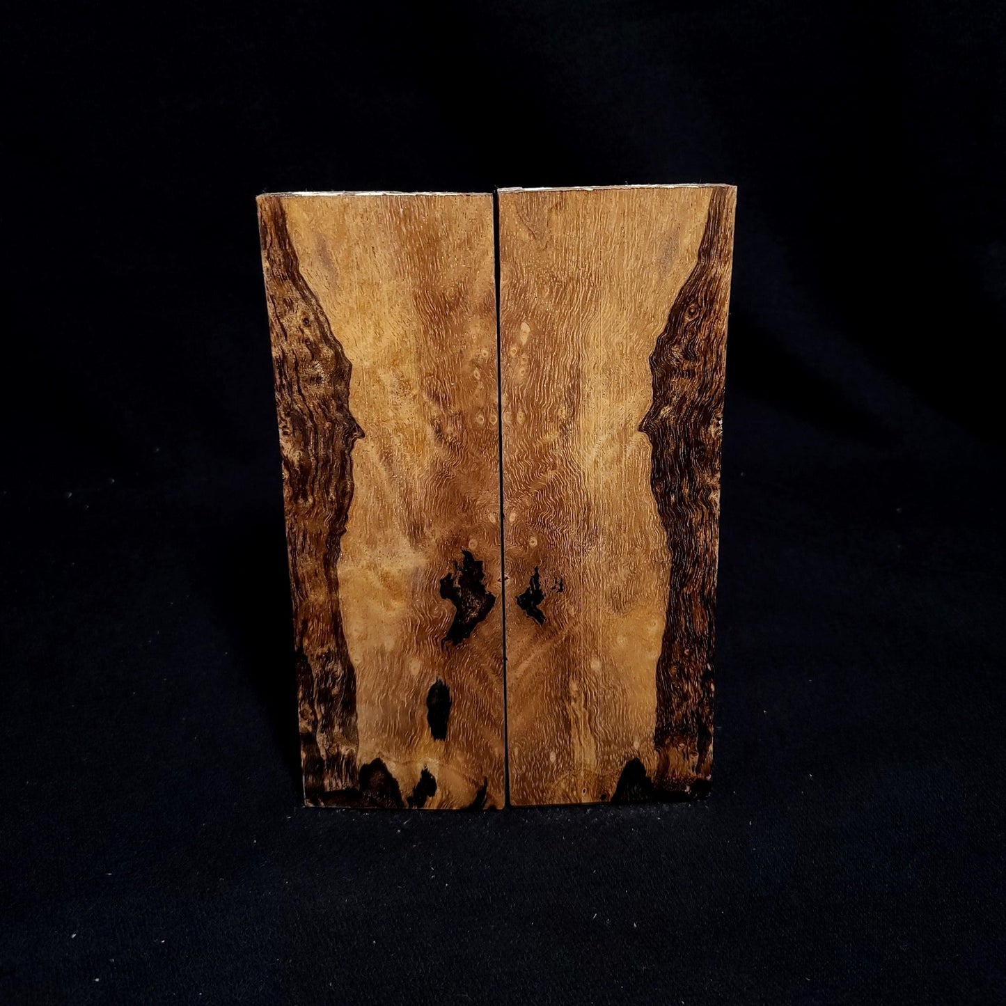 #796 - Spalted Myrtle - K&G Stabilized - RockSolid Scales -