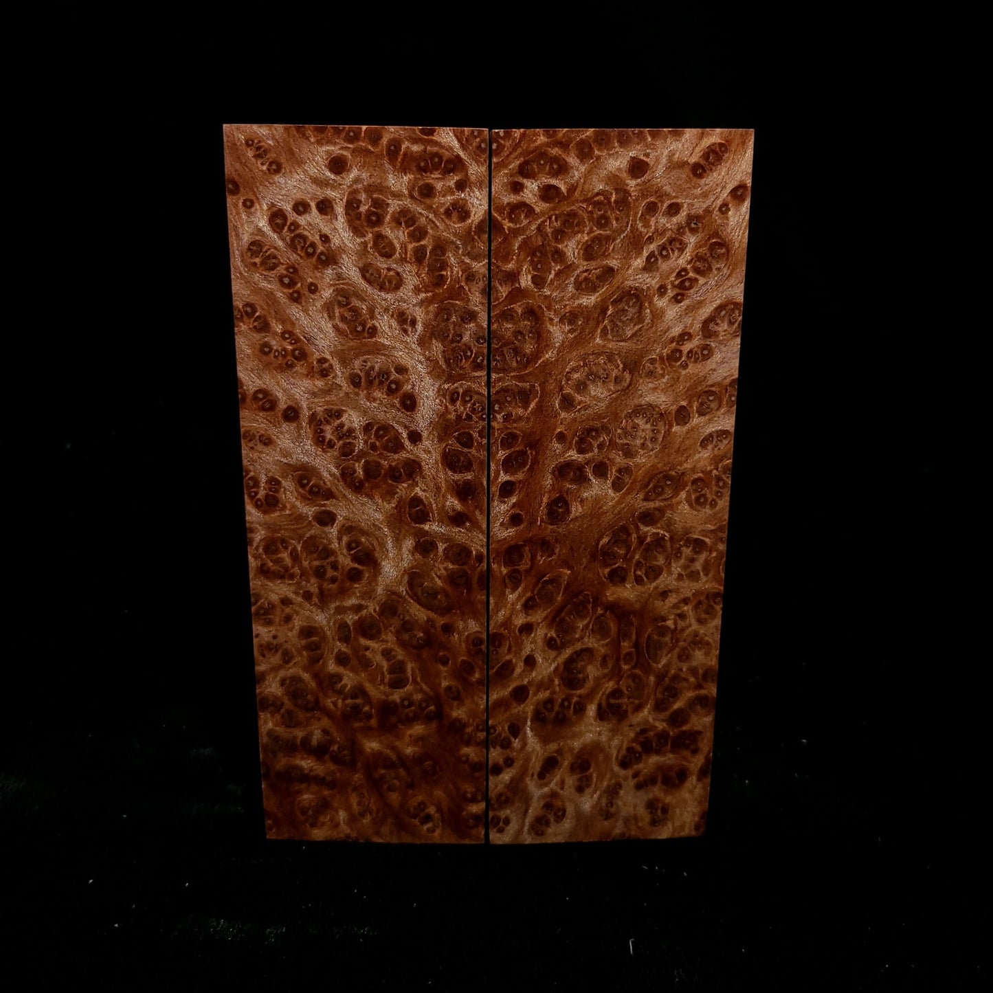 #812 - Redwood Lace Burl - K&G Stabilized - RockSolid Scales -
