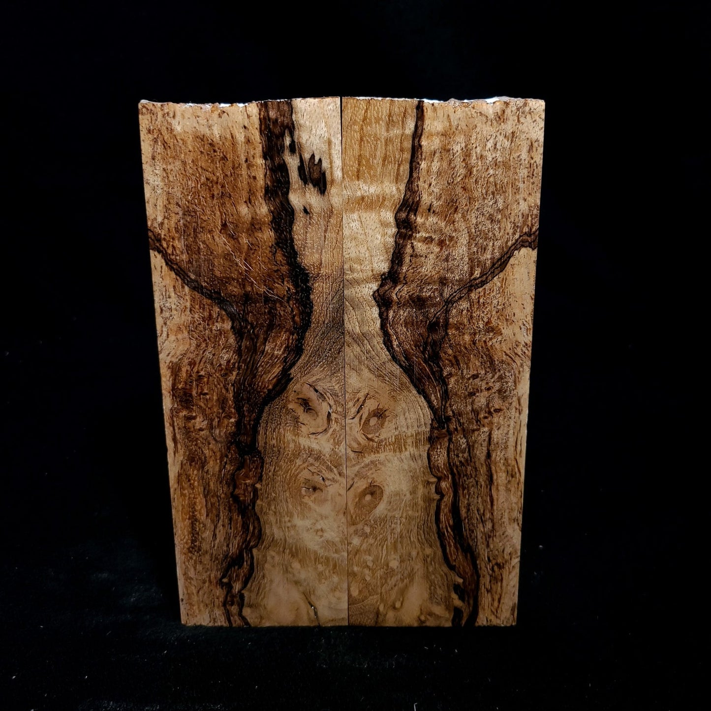 #815 - Spalted Myrtle - K&G Stabilized - RockSolid Scales -