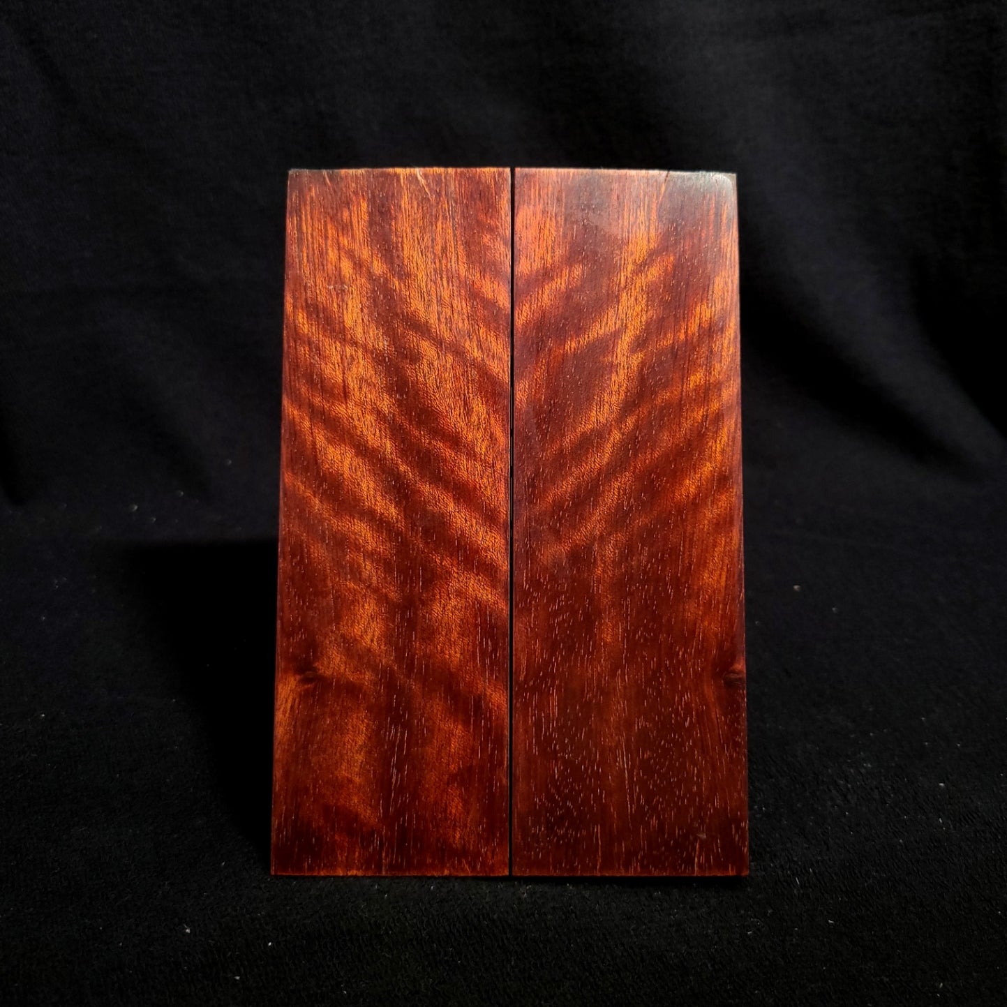 #836 - Beeswing Bloodwood - RockSolid Scales -