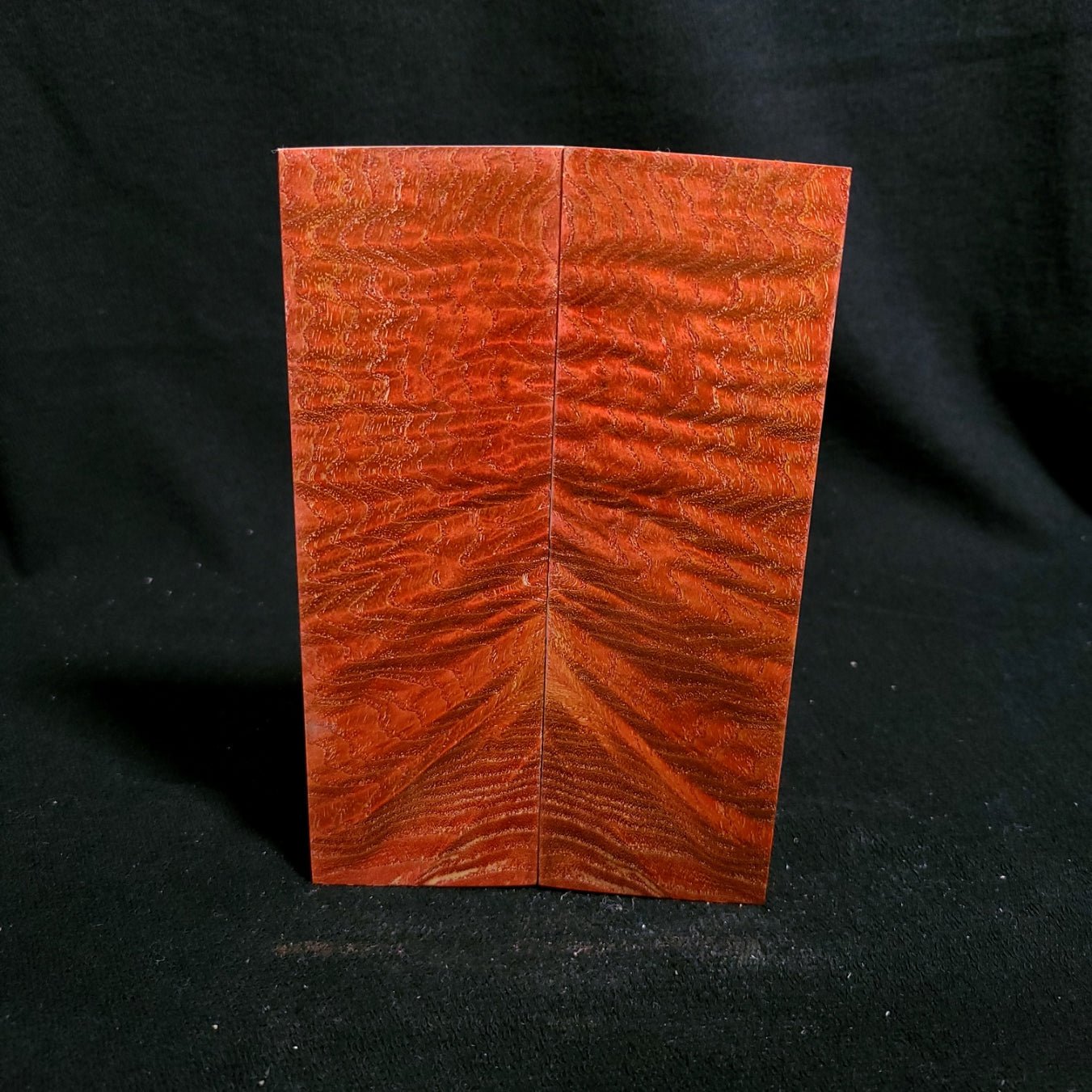 #857 - Blood Orange Curly Tamo Ash - RockSolid Scales -