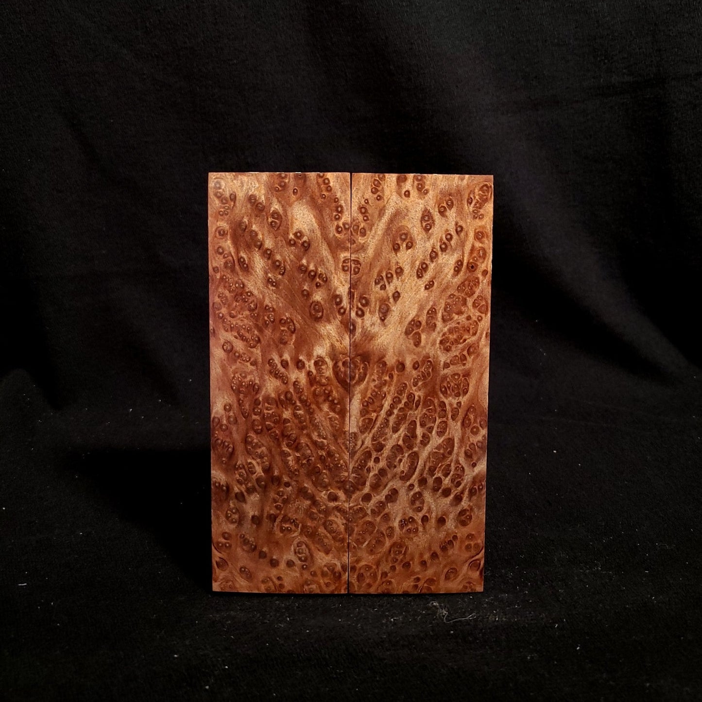 #879 - Redwood Lace Burl - K&G Stabilized - RockSolid Scales -