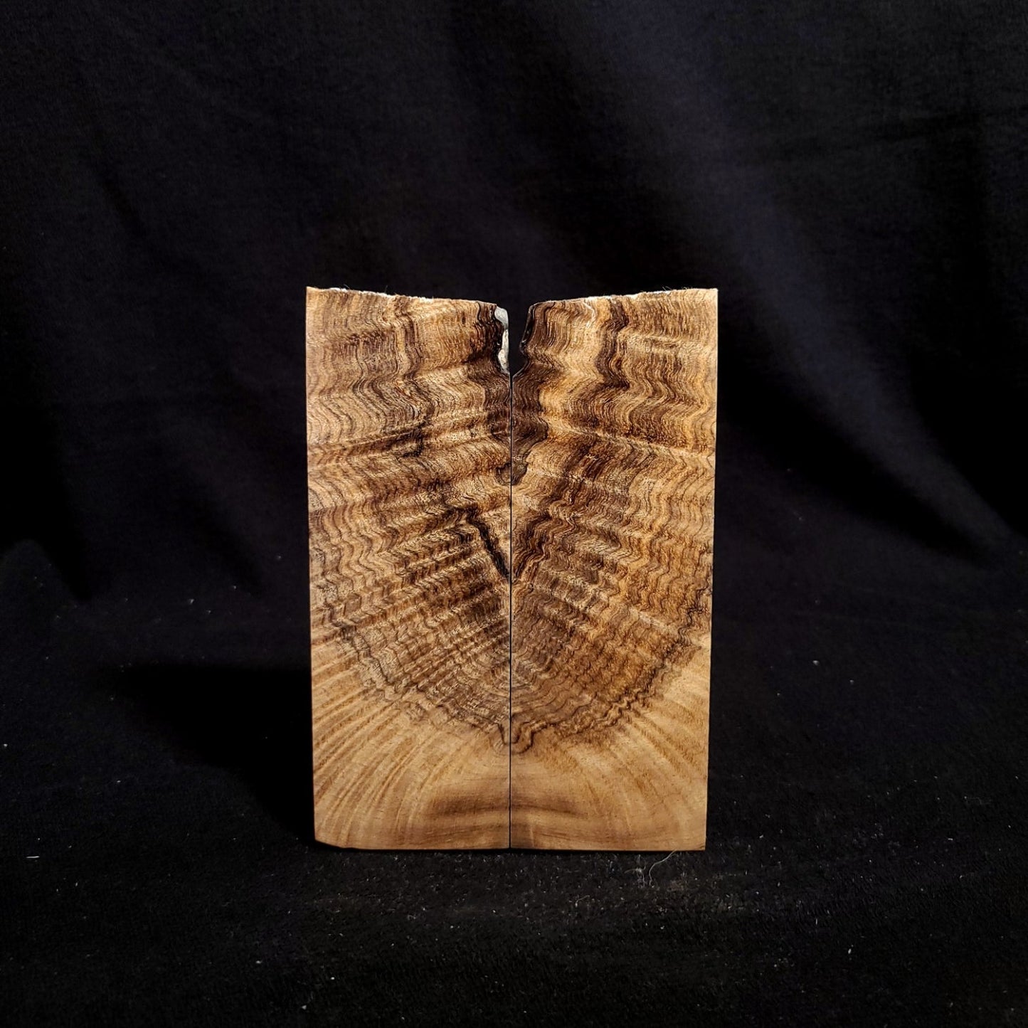 #891 - Curly Spalted Myrtle - K&G Stabilized - RockSolid Scales -