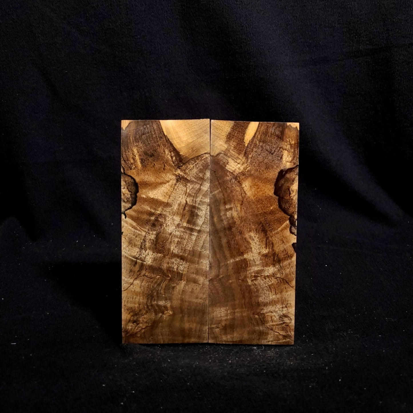 #894 - Spalted Curly Myrtle - K&G Stabilized - RockSolid Scales -