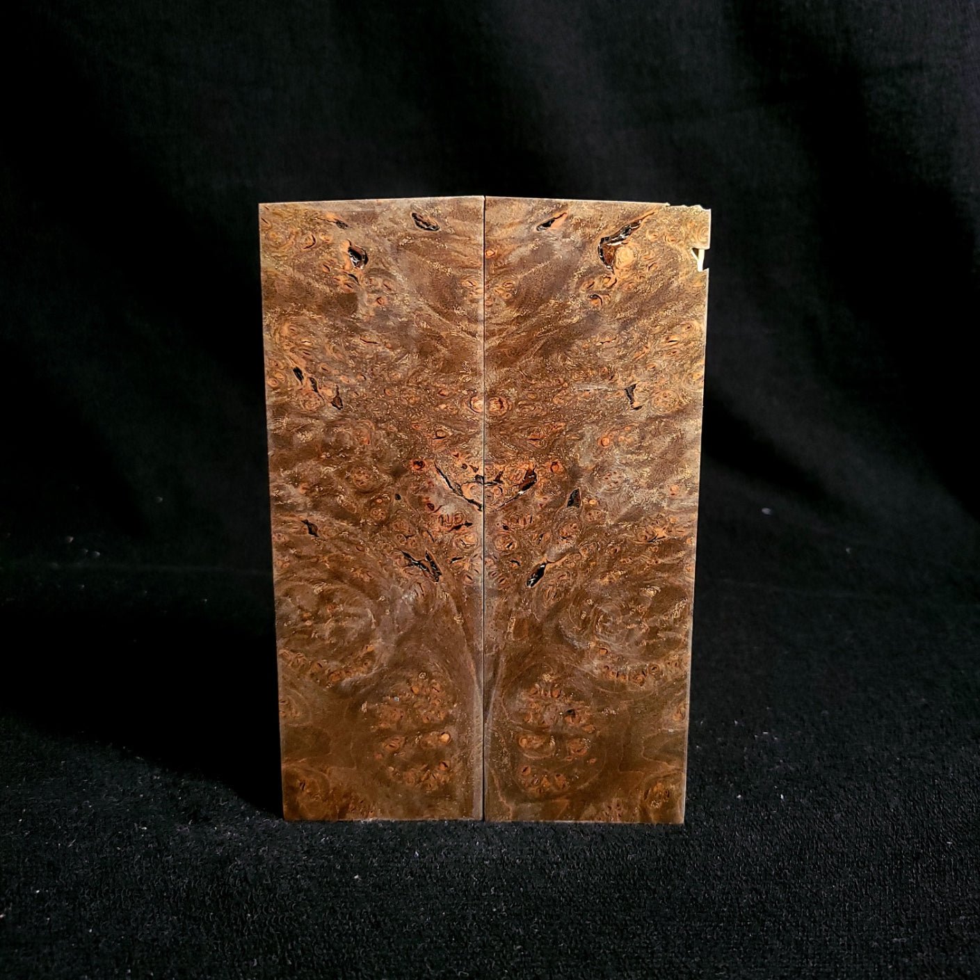 #902 - OD Green Spalted Maple Burl - RockSolid Scales -