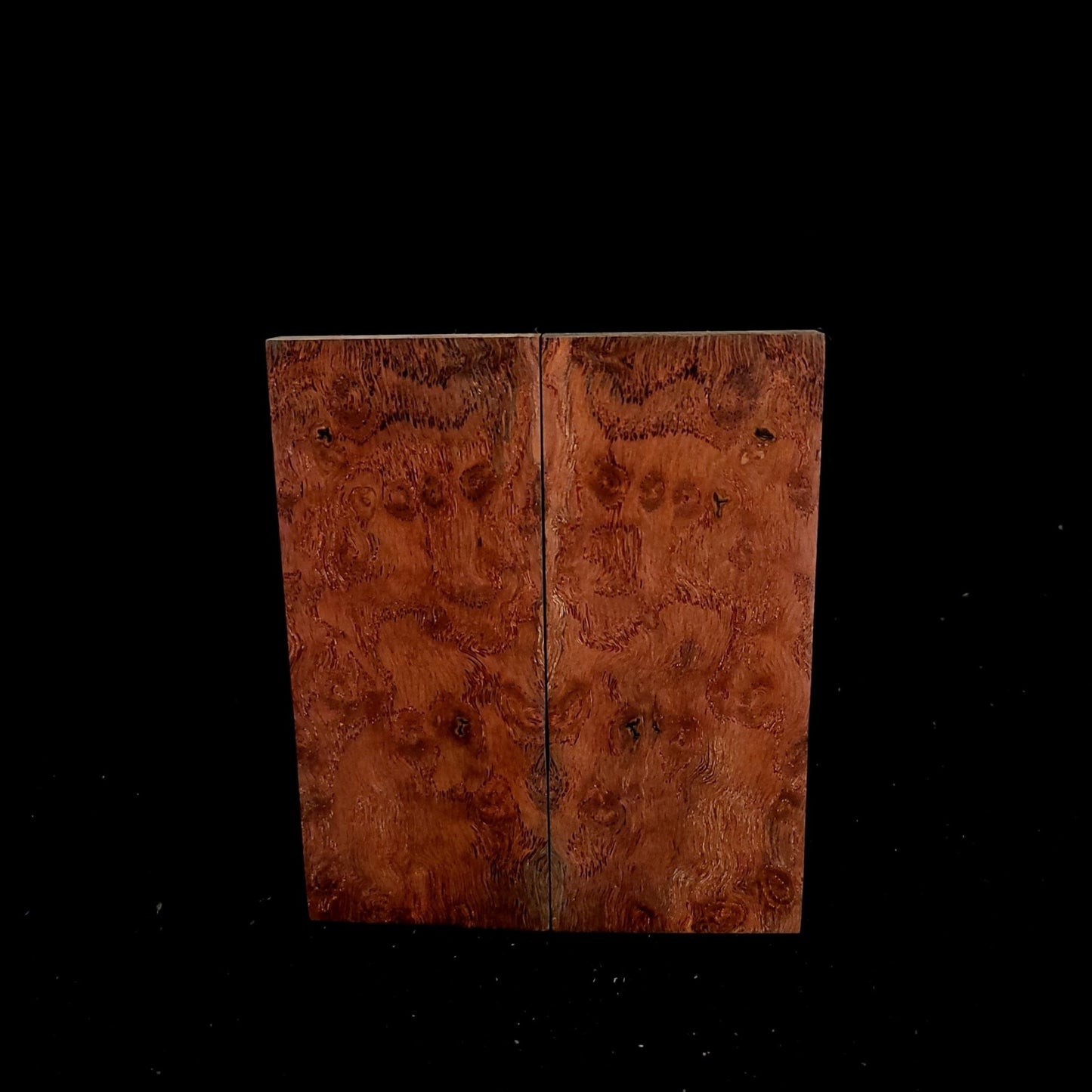 #978 Blood Orange Spaghetti-Figure White Oak Burl - RockSolid Scales